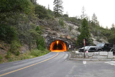 DSC_4533 (Large).JPG